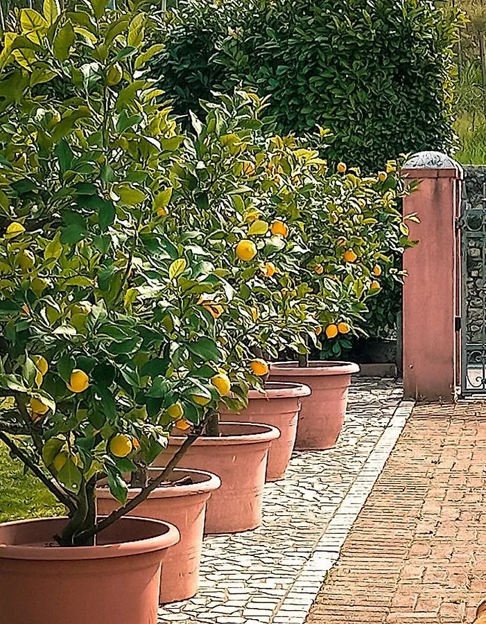 Casa Vacanze Monte Villa Pieve di Soligo Apartment